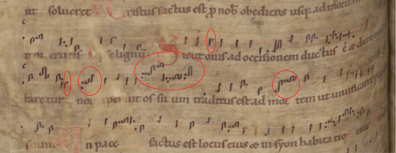 190311 Sicutovis voor WordPress